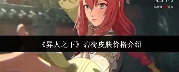 碧荷皮肤价格介绍