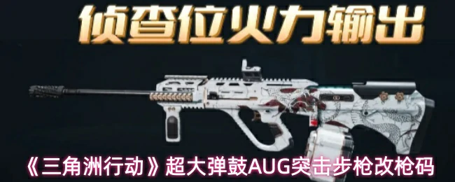 超大弹鼓AUG突击步枪改枪码