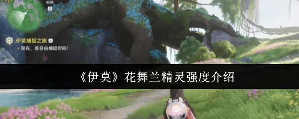 花舞兰精灵强度介绍