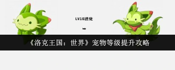 宠物等级提升攻略