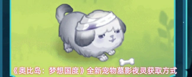 全新宠物墓影夜灵获取方式