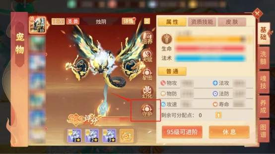 宠物资质洗练小技巧