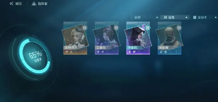 自选维希尔介绍