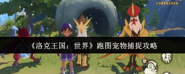 跑图宠物捕捉攻略