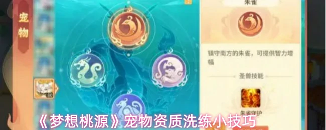 宠物资质洗练小技巧