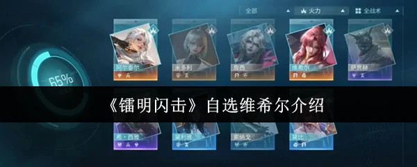 自选维希尔介绍