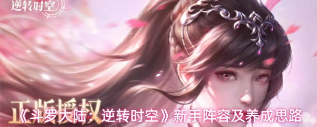 新手阵容及养成思路