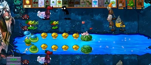 再生南瓜与樱桃魅惑菇融合配方