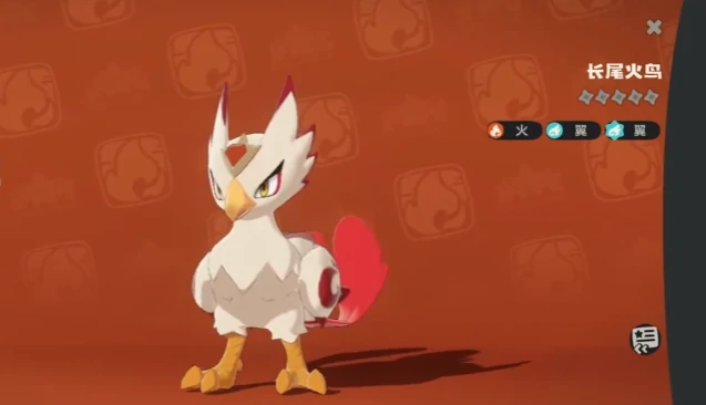 长尾火鸟宠物介绍