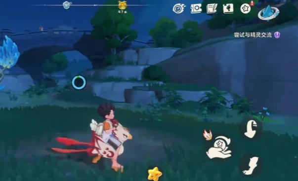 长尾火鸟宠物介绍