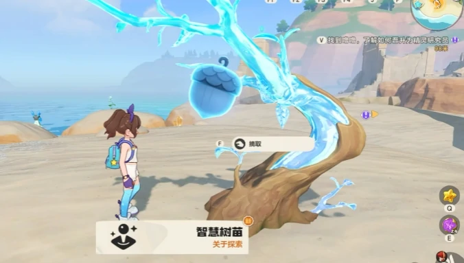 智慧树精灵果实地点位置一览