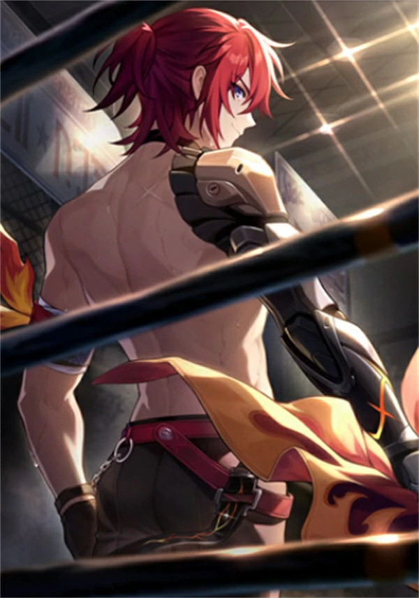 大丽花光锥选择建议