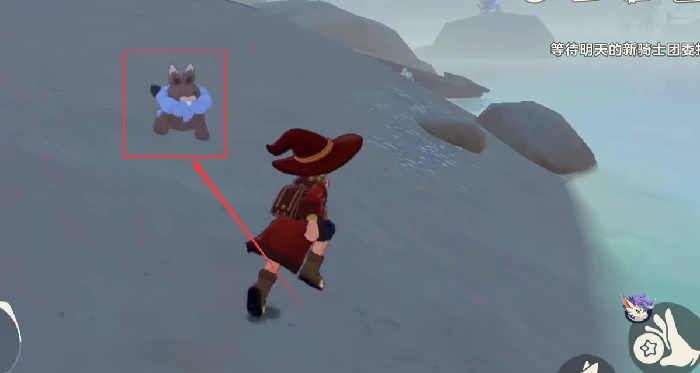 小鼠獭养成攻略