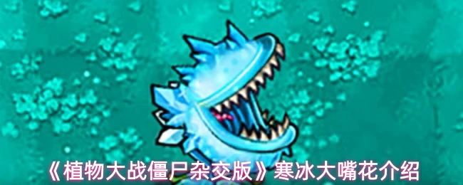 寒冰大嘴花介绍