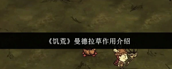 曼德拉草作用介绍