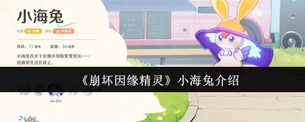 小海兔介绍