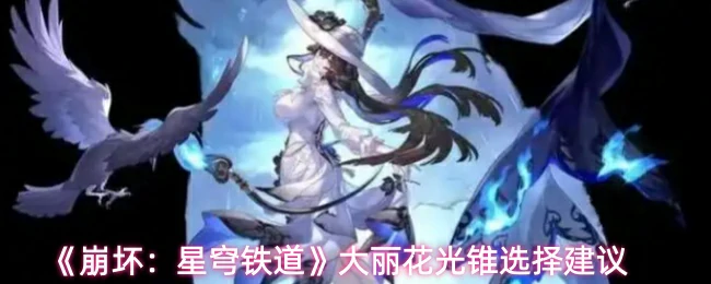 大丽花光锥选择建议