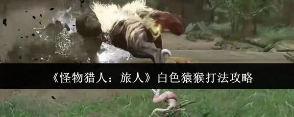 白色猿猴打法攻略