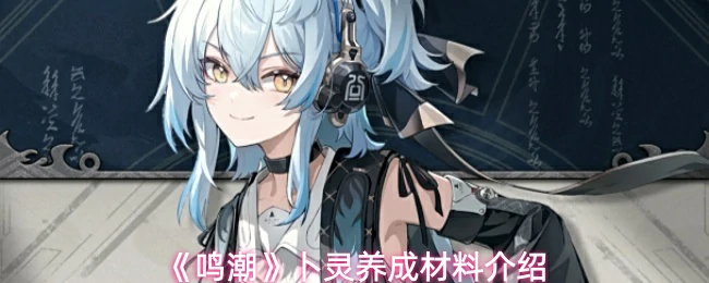 卜灵养成材料介绍