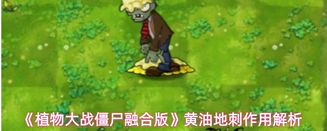 黄油地刺作用解析