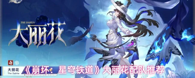 大丽花配队推荐