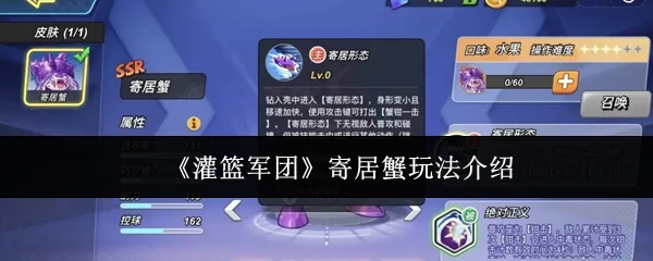 寄居蟹玩法介绍