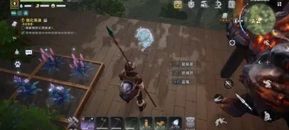 新手前期养成攻略