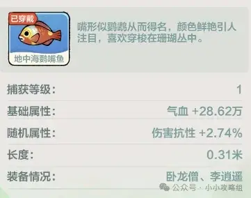灵兽属性配置