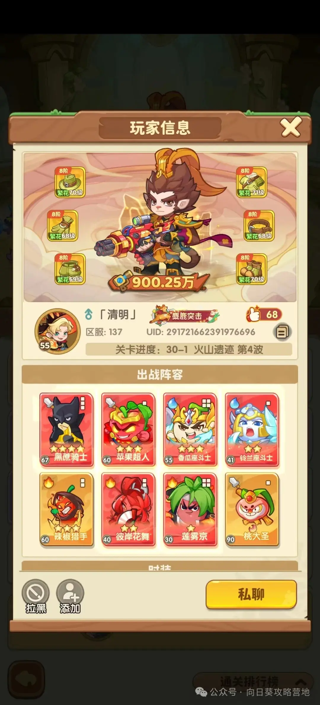 保卫向日葵双系阵容,保卫向日葵双系攻略