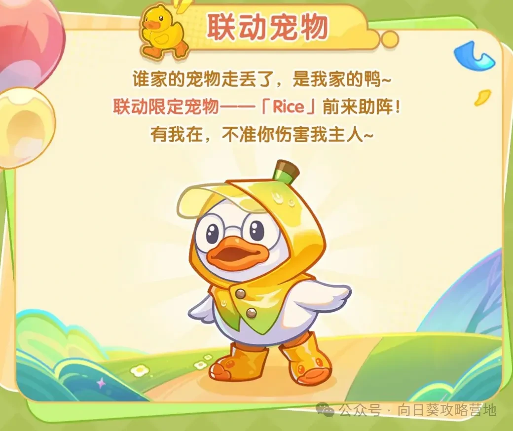 保卫向日葵小黄鸭活动存钻攻略,保卫向日葵小黄鸭联动备战攻略