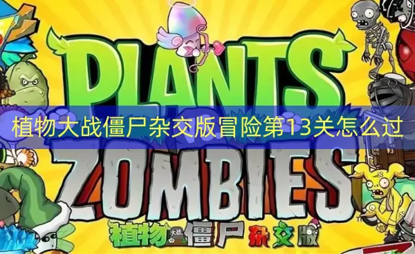 植物大战僵尸杂交版冒险第13关