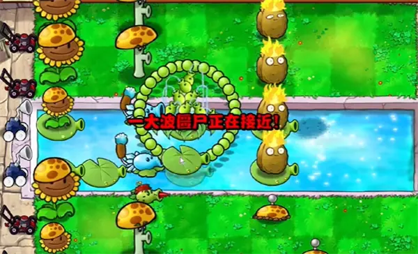 植物大战僵尸杂交版冒险第13关