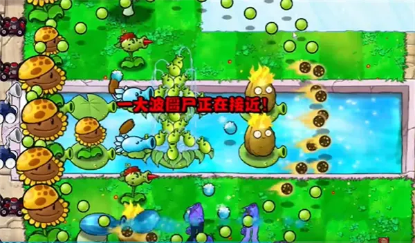 植物大战僵尸杂交版冒险第13关