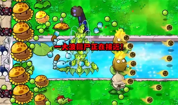 植物大战僵尸杂交版冒险第14关
