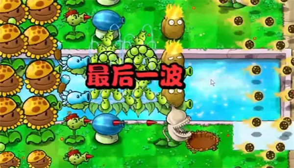 植物大战僵尸杂交版冒险第14关
