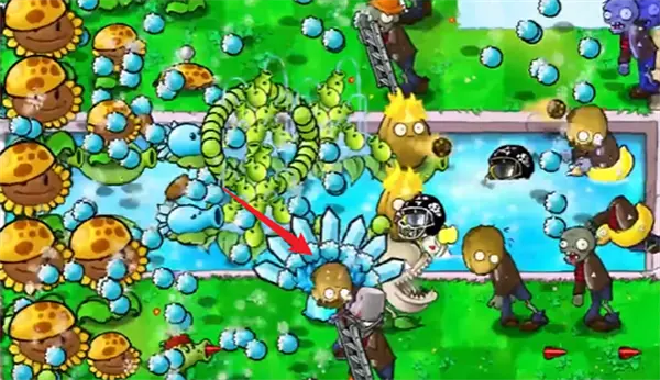 植物大战僵尸杂交版冒险第14关