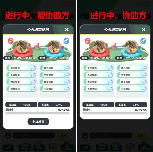 曙光重临联姻大厅玩法,曙光重临联姻大厅功能
