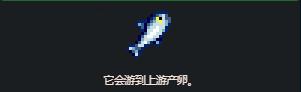 星露谷物语鲑鱼怎么收集,星露谷物语鲑鱼收集攻略