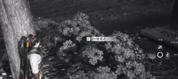 燕云十六声失窃的头坛饮任务怎么做,燕云十六声失窃的头坛饮任务攻略,燕云十六声