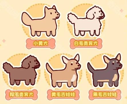 我的休闲时光狗狗怎么领养,我的休闲时光领养狗狗方法