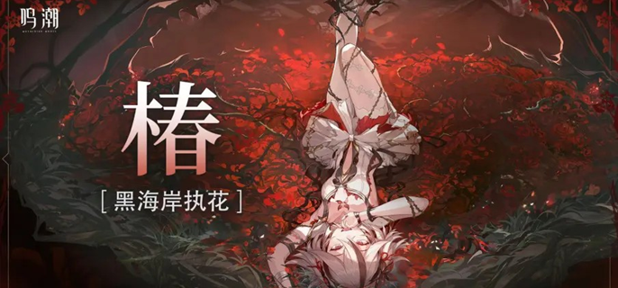 鸣潮椿输出手法是什么,鸣潮椿操作手法教学,鸣潮