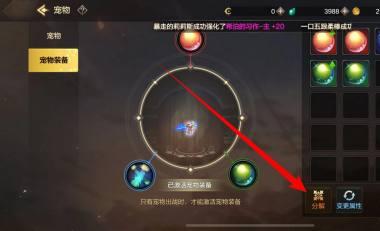 dnf手游宠物装备怎么分解,dnf手游宠物装备分解攻略,dnf手游