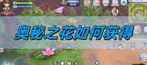 仙境传说新启航奥秘之花如何获得,奥秘之花获取攻略