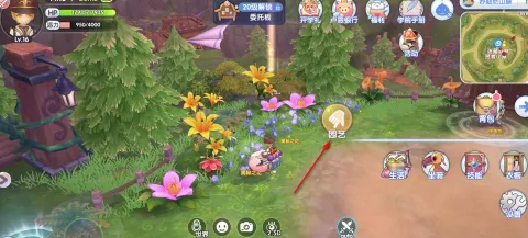 仙境传说新启航奥秘之花如何获得,奥秘之花获取攻略