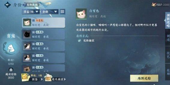 逆水寒手游育宠师怎么玩,逆水寒手游育宠师玩法介绍,逆水寒