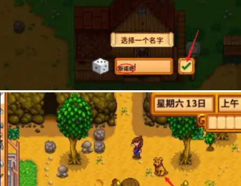 星露谷物语宠物怎么收养,星露谷物语宠物获取攻略