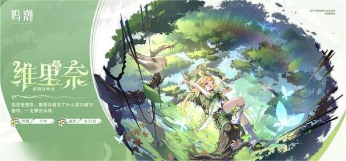 鸣潮维里奈声骸怎么选择,鸣潮维里奈声骸选择攻略,鸣潮