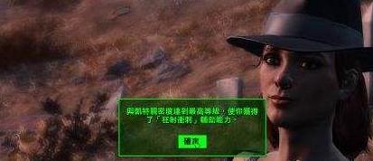 辐射4怎么设置中文,辐射4设置中文方法