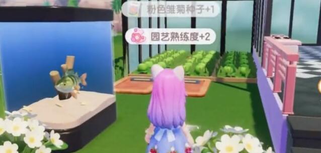心动小镇花朵怎么杂交,心动小镇花朵杂交方法