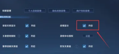 王者荣耀战绩怎么隐藏2024,王者荣耀战绩隐藏设置步骤,王者荣耀